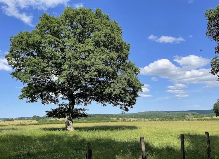 Marcheseuil Le Chene D'Or Bed & Breakfast エクステリア 写真