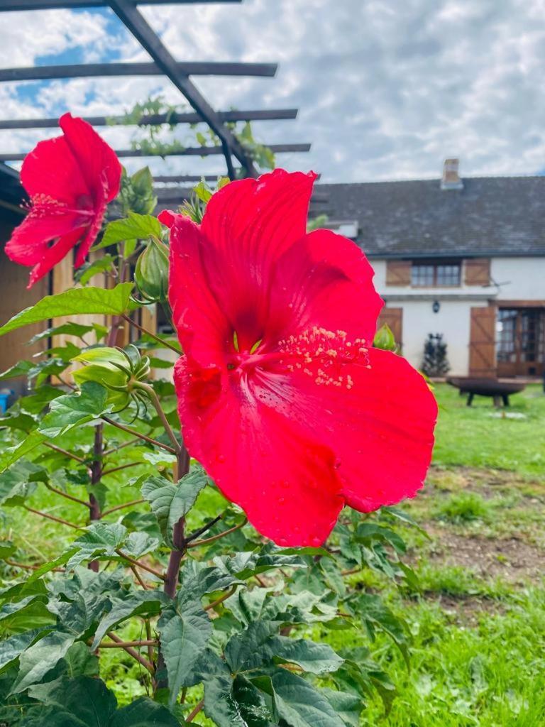 Marcheseuil Le Chene D'Or Bed & Breakfast エクステリア 写真