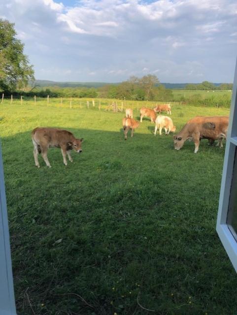 Marcheseuil Le Chene D'Or Bed & Breakfast エクステリア 写真