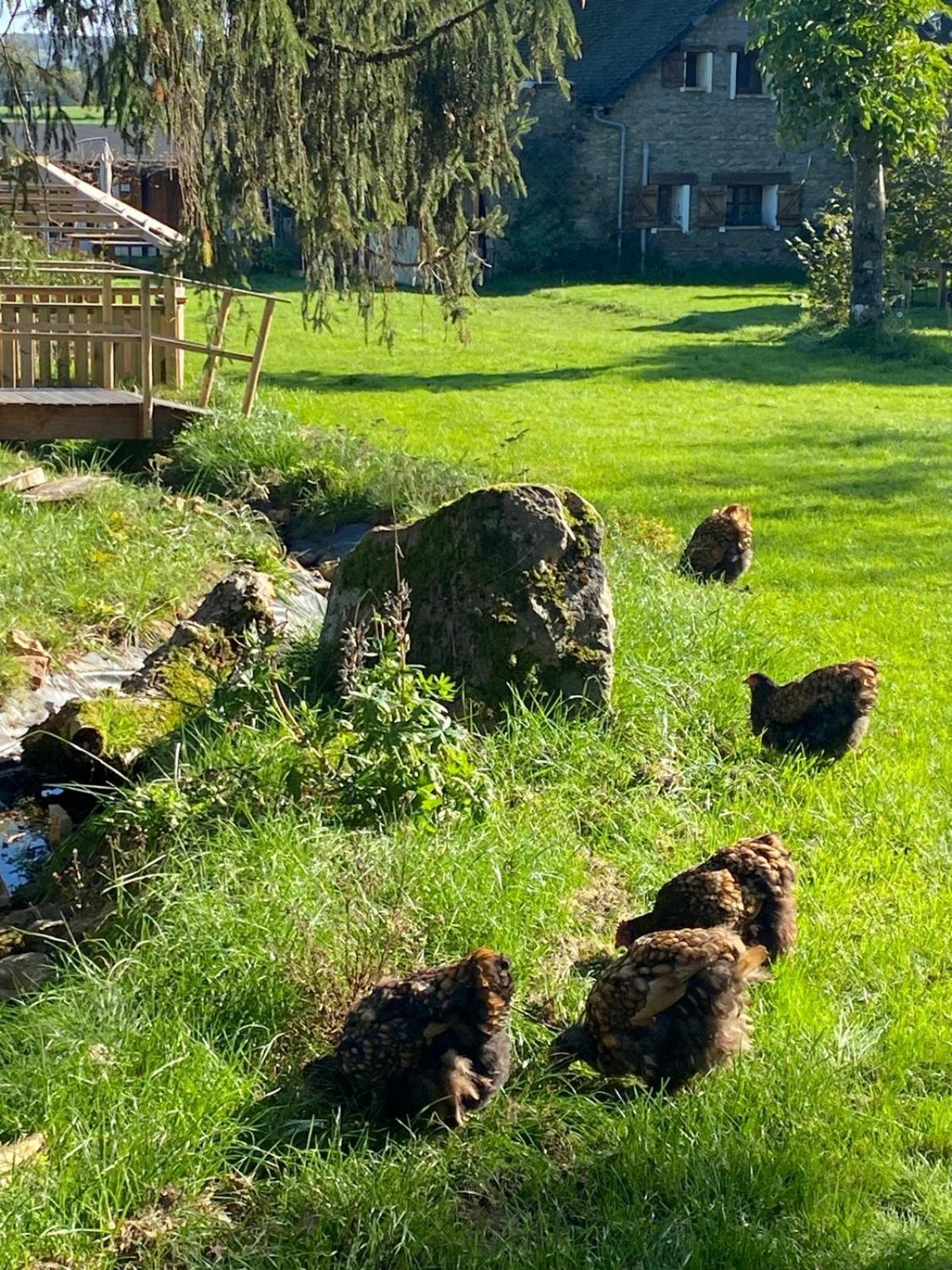 Marcheseuil Le Chene D'Or Bed & Breakfast エクステリア 写真
